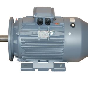 30KW 4Pole 415V 3PH 200L Frame B35