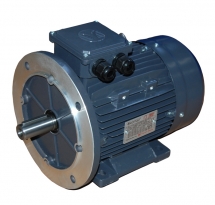 Electric Motors